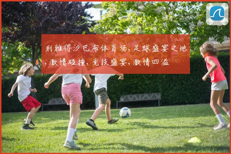 利雅得沙巴布体育场,足球盛宴之地,激情碰撞,竞技盛宴,激情四溢