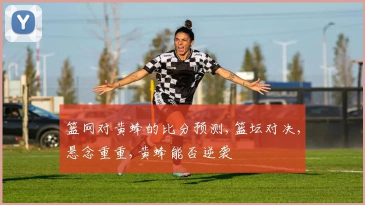 篮网对黄蜂的比分预测,篮坛对决,悬念重重,黄蜂能否逆袭